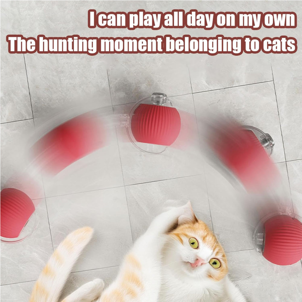 Interactive Rolling Cat Ball PawLuxe Vault