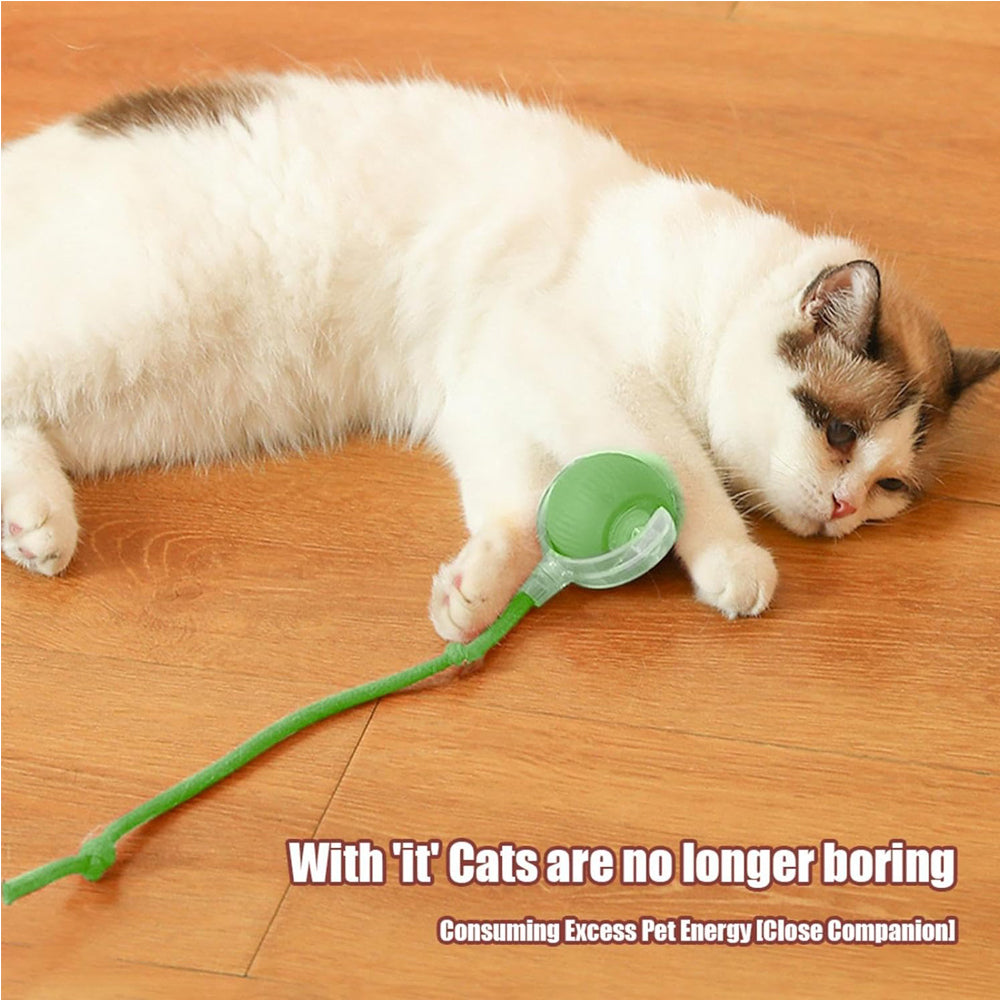 Interactive Rolling Cat Ball PawLuxe Vault